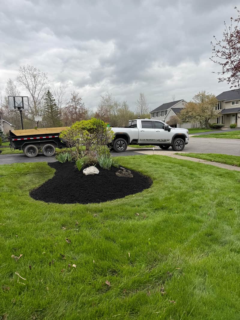 A crisp ring of fresh black mulch cut around a boulder and shrub island in a green lawn, with a dump trailer parked behind